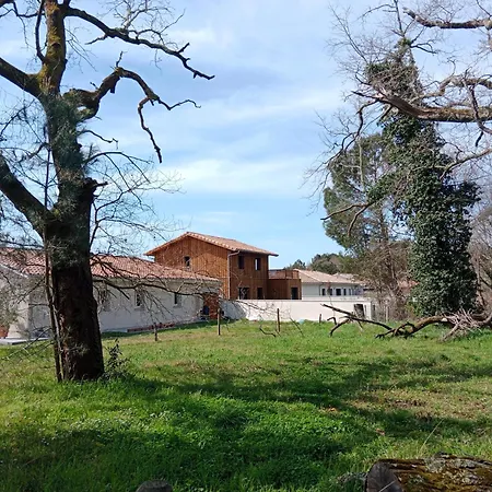 Vakantiehuis Maison Wave *